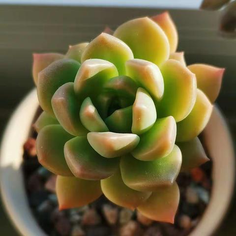 一览众山小的美篇