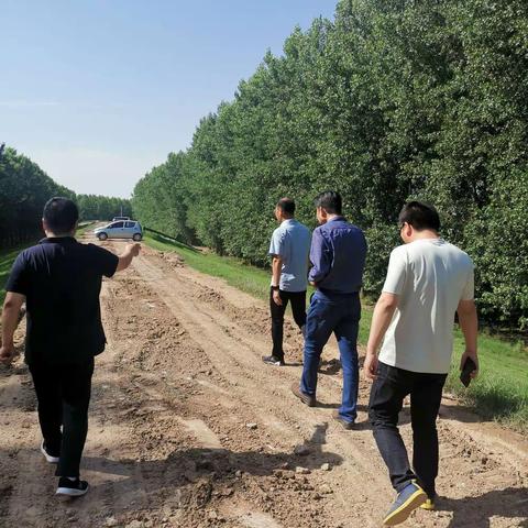 人行钟祥市支行开展堤防段面巡查工作