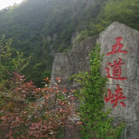 人民银行钟祥市支行组织开展春游活动