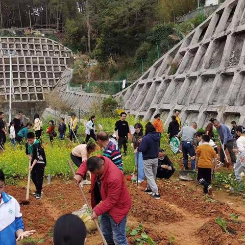 春光无限好，劳动正当时——德化县第五实验小学开展新学期劳动体验活动