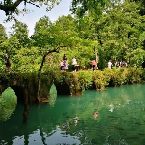 贵州旅游（荔波篇）