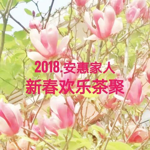 安慧家人2018欢乐茶聚