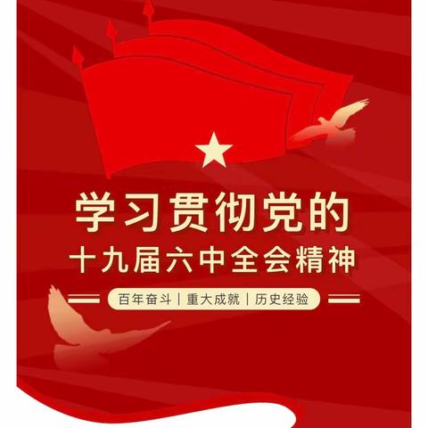 定安分公司团支部深入学习贯彻党的十九届六中全会精神