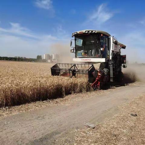 小冀镇三夏会战掀起新高潮