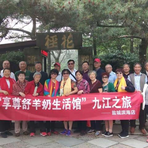 傲菊颐康的美篇