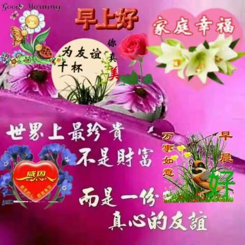 丰富多彩的《早上好》的慰问图好美💃️