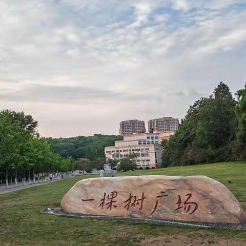 生生不息的美篇