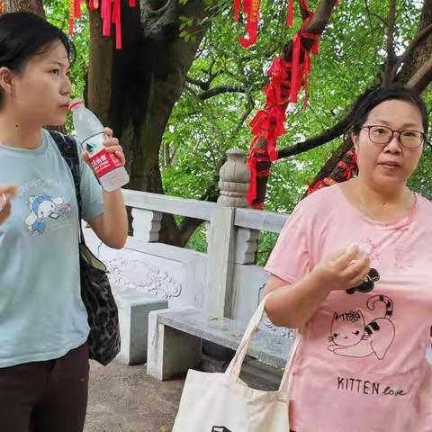 生生不息的美篇