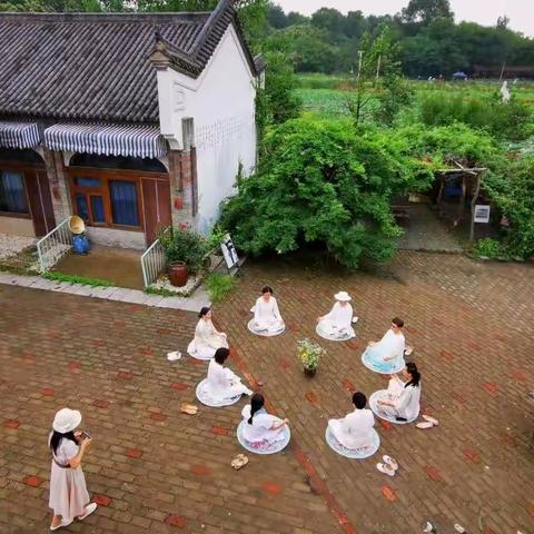 生生不息的美篇