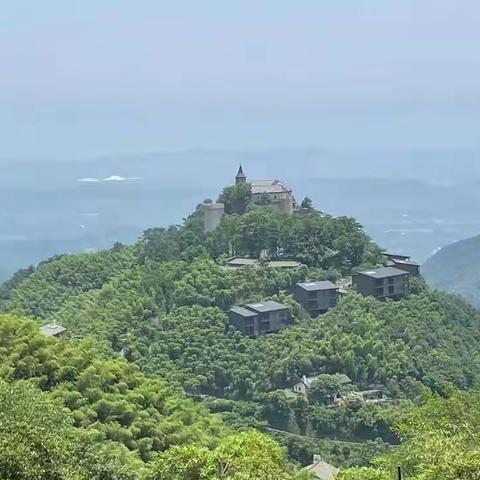 生生不息的美篇