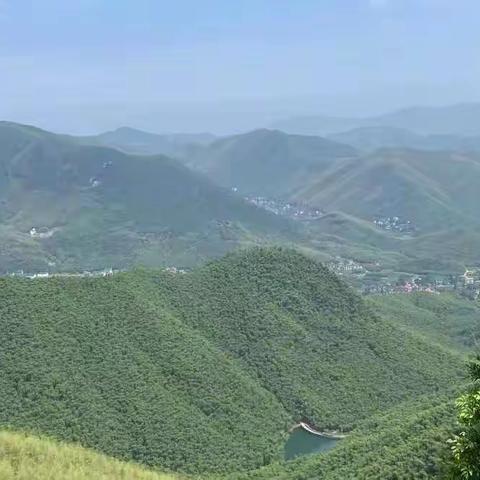 生生不息的美篇