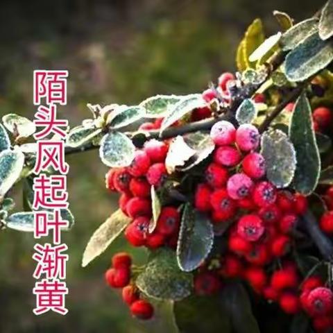 《和美四实验--幸福成长园》一年级最美家长值班纪实