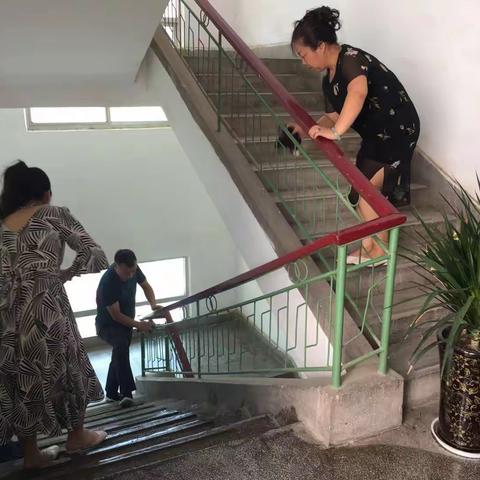 周至县农技站认真开展环境卫生整治工作