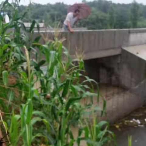 和孝营社区2017年7月9日“一建一创”工作小结