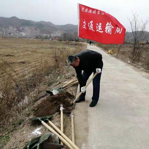 春日绿意俏 植树正当时——县交通运输局开展义务植树活动