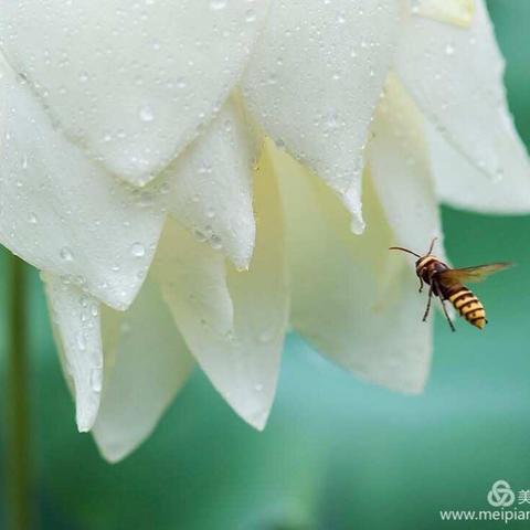 欢迎崂山院区手术室新成员加入💐💐