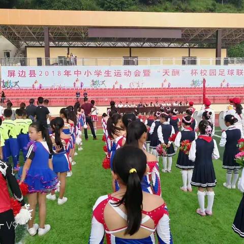 屏边县2018年全县中小学生运动会暨“天酬杯”校园足球联赛开幕