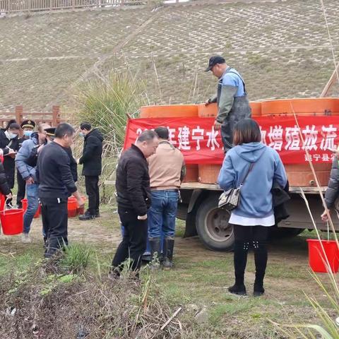 按照“三清双提”行动要求，开展水生生物增殖放流活动