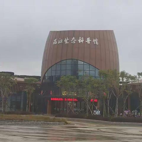 快乐寒假，神采飞扬