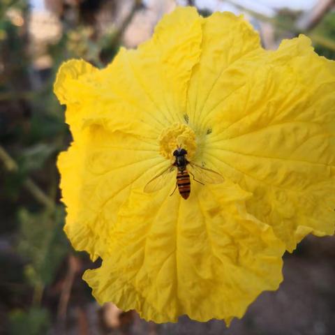 楹联试对集（一）