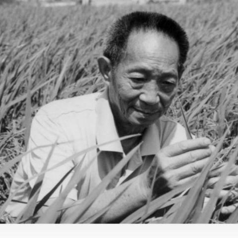 痛悼：肝胆英雄守护神，一粥一饭禾之父。