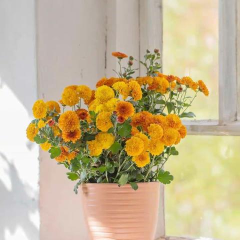 春雨楹联集四：感谢老师们精美出句！感谢王东，云朵老师辛苦指导！