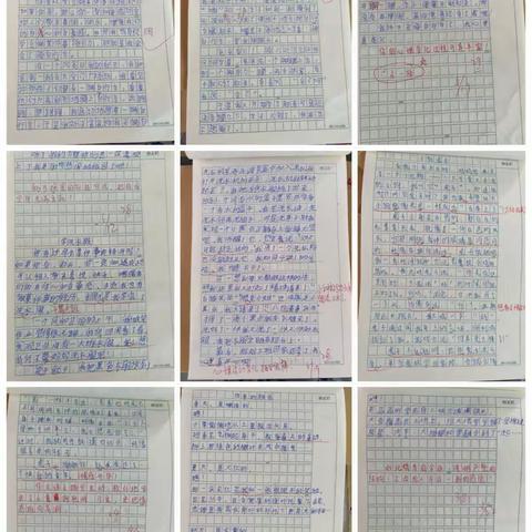 书写成长记录      展示精彩时刻—权寨刘庄小学优秀作文风采展示