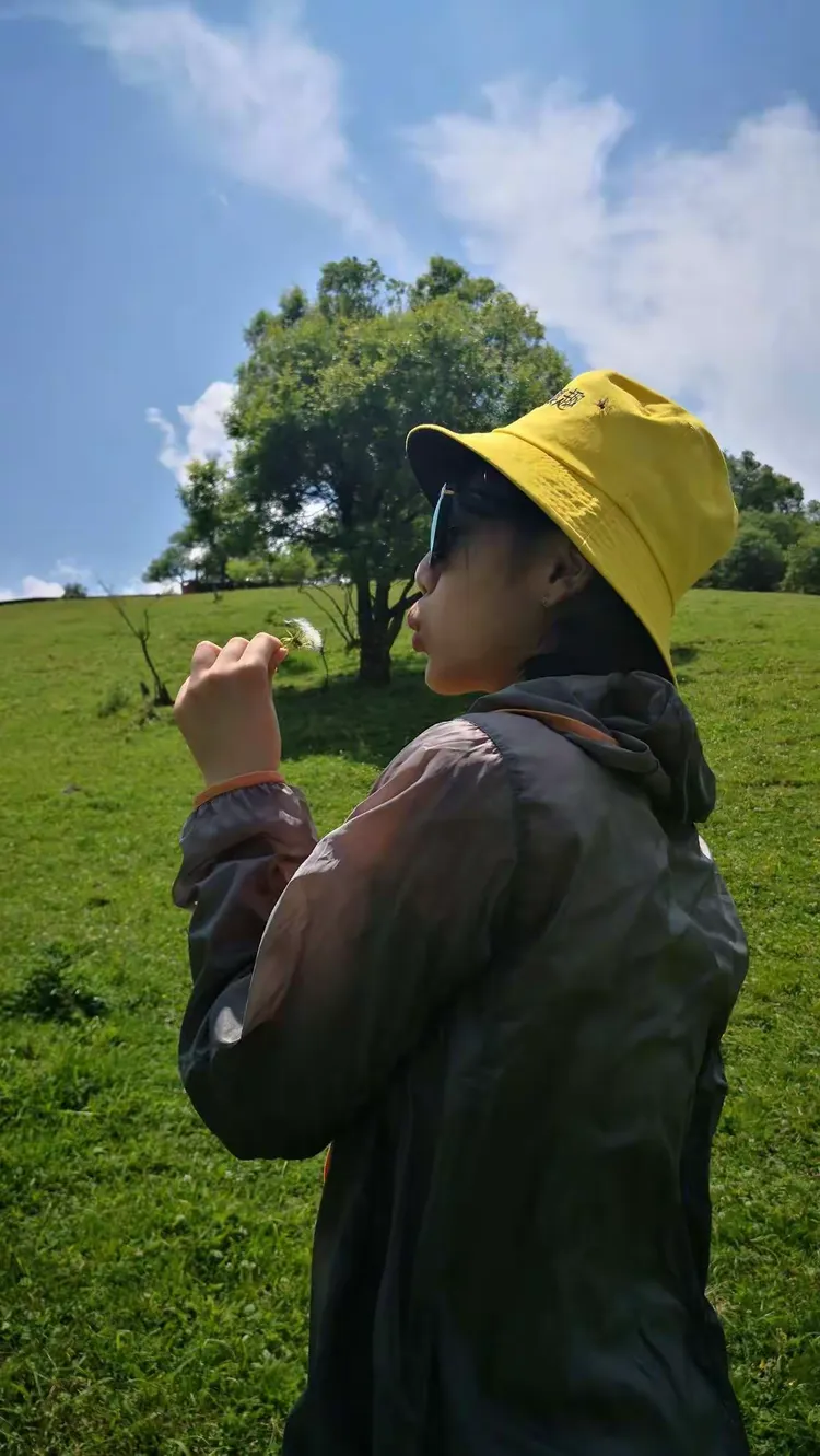 张依晨🐰👰作品集