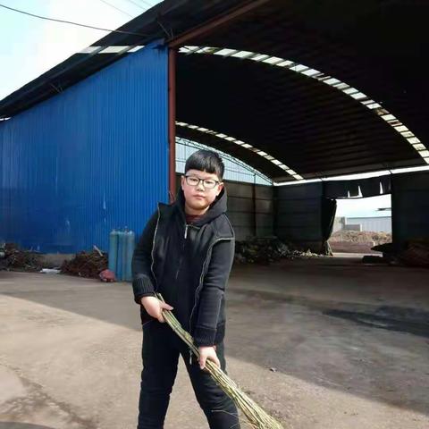 寒假十星——劳动星