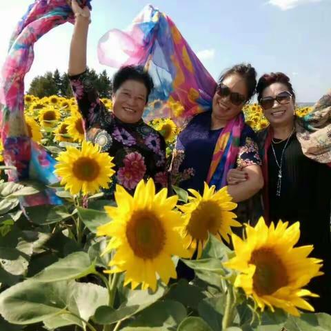 2017年，9月1日下午姐妹仨人去西城区玩。玩的高兴。开心。