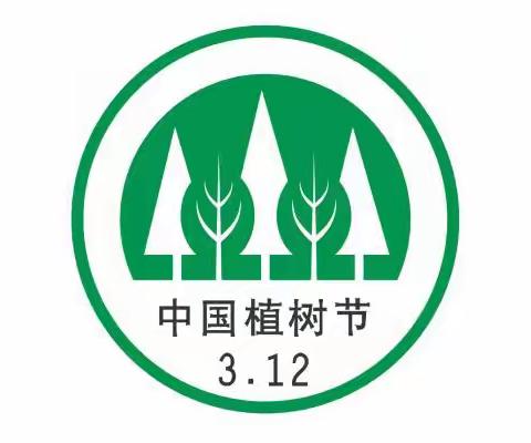 🌳春风十里 不及一抹绿意