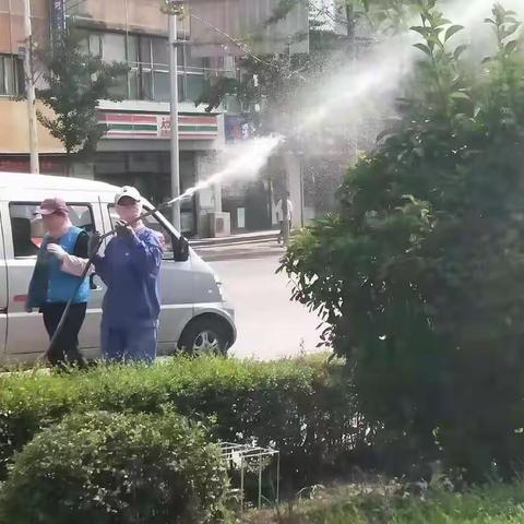 溪湖区绿化部门集中开展杀灭防治病虫害打药作业