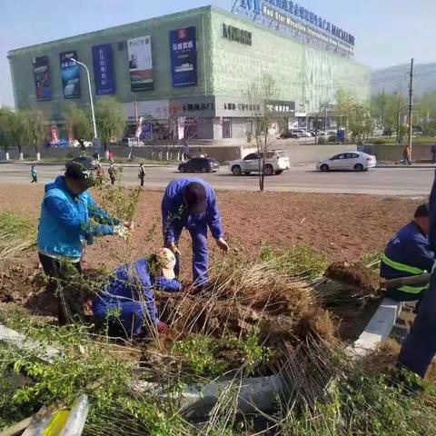 不负春光与时行 ——溪湖区住建局积极推进裸地治理工作