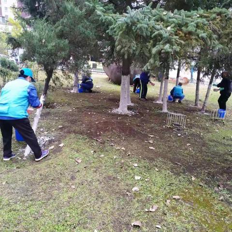 绿化部门秋冬季涂白工作简报