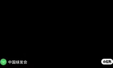 “多样的生物，别样的美”——洪庄镇中心幼儿园中班共建地球生命共同体主题活动