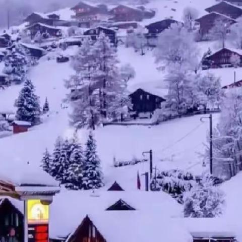 雪夜即景