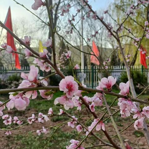 我和春天有个约会 ﻿——铜川市第四中学五年级掠影纪实