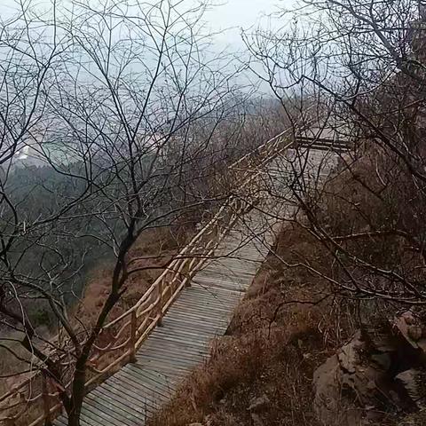 初四登天台山有感