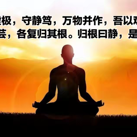 归根复命：在浮世里种一株精神的原乡