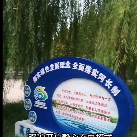 静卧观心
