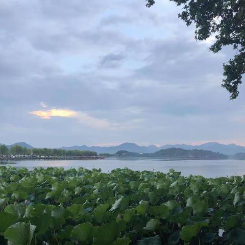 夏日雨后