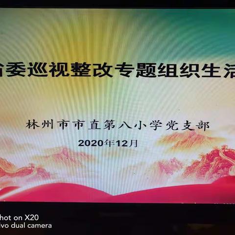 认真查摆问题  深刻剖析根源——市直八小省委巡视反馈问题整改组织生活会