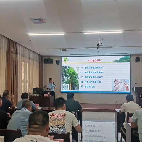 西安苗木的美篇