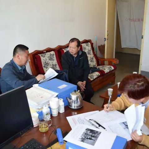2022年度西安市造林苗木质量抽查和“双打”专项检查工作纪实--阎良、高陵篇