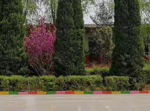 河窑新村学校迎接中心校模拟验收