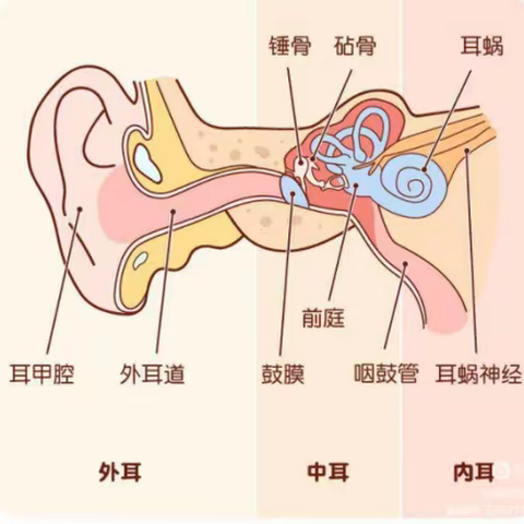 爱耳护耳 聆听美好