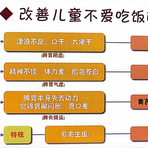 恩舟教育