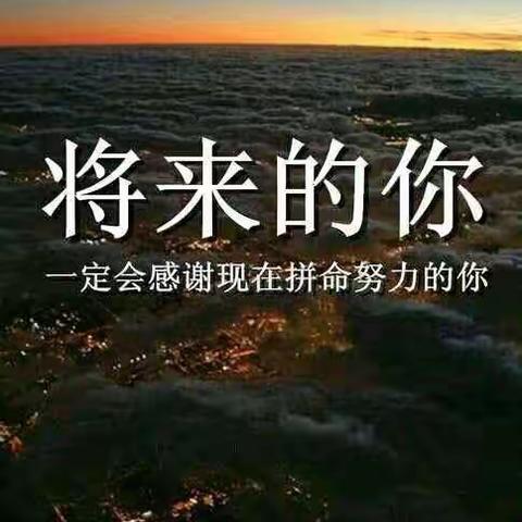 征途虽远  乾坤未定 ，黑马奔袭  携手共进!——2019级8班寒假生活纪实