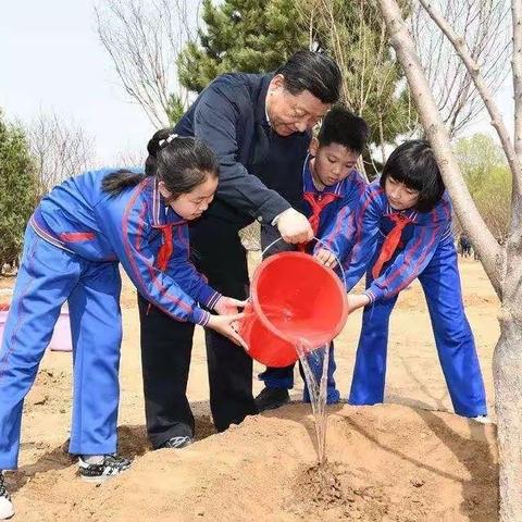 童馨幼儿园宅在家里的植树节🌲