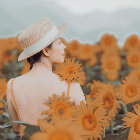 向阳花开